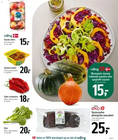 Føtex -Tilbudsavis uge 43 gyldig fra 16/10/2026 | Side: 13 | Produkter: Græskar, Spaghetti, Squash, Dadler