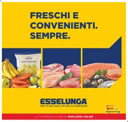 Anteprima del volantino Esselunga S volantino Freschi Roma valido a partire dal 01/07/2026