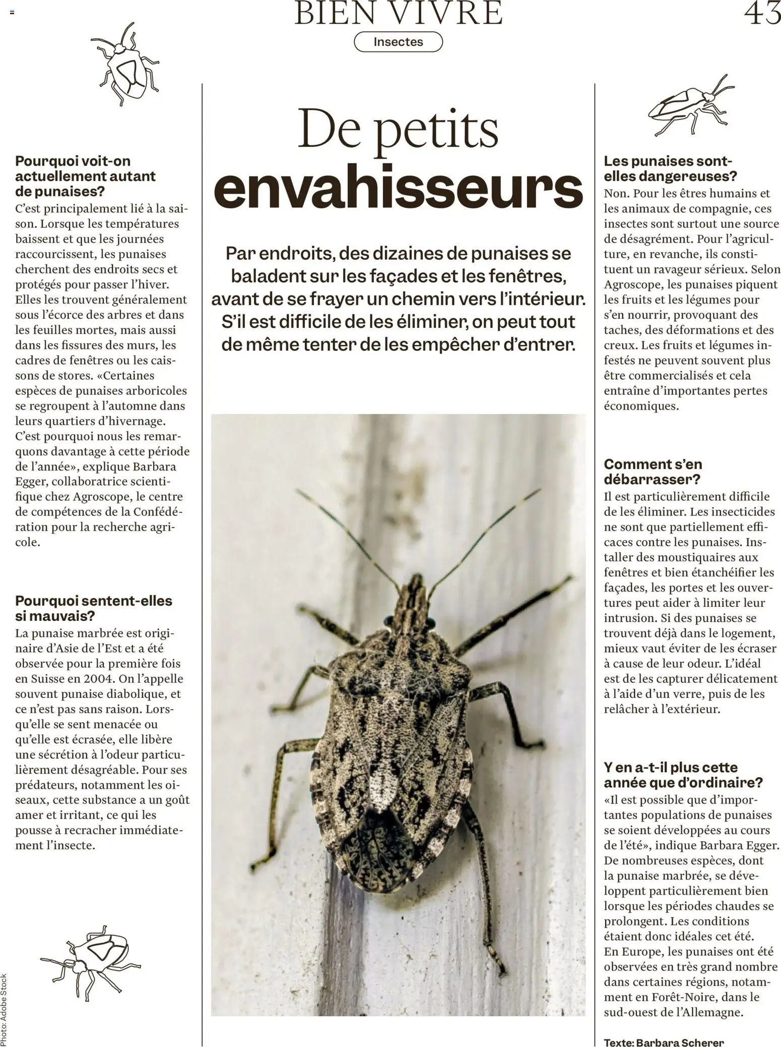 Migros aktionen Magazine FR – gültig ab 21.10.2026 | Seite: 43