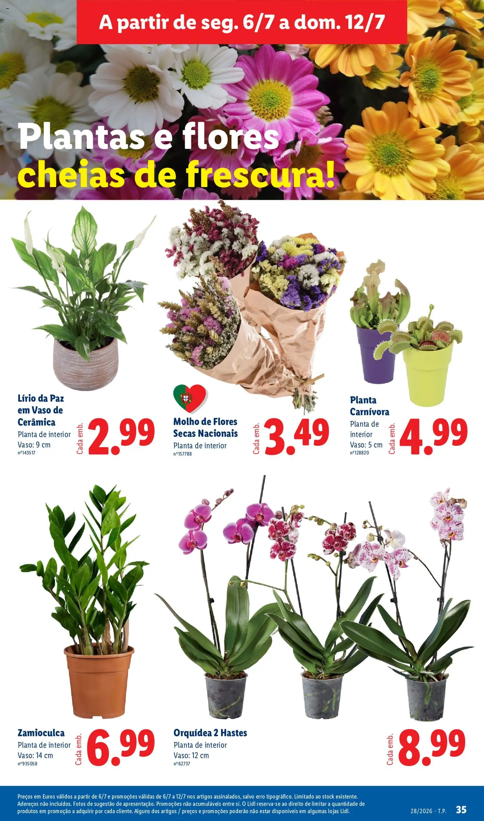 Lidl folheto │ válido de 06/07/2026 | Página: 35 | Produtos: Flores, Vaso