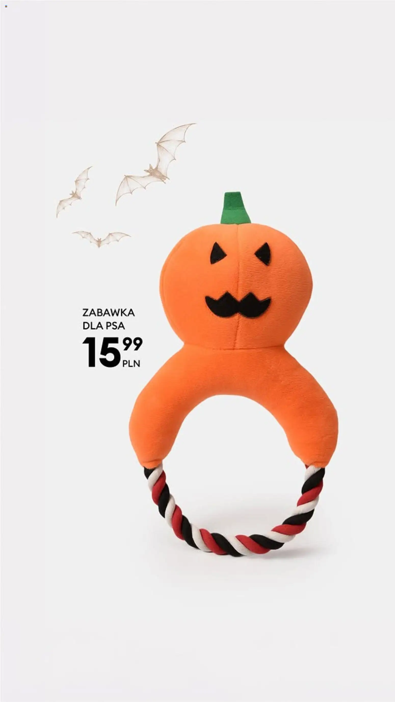 Sinsay gazetka od 13.10.2026 | Strona: 6 | Produkty: Zabawka dla psa
