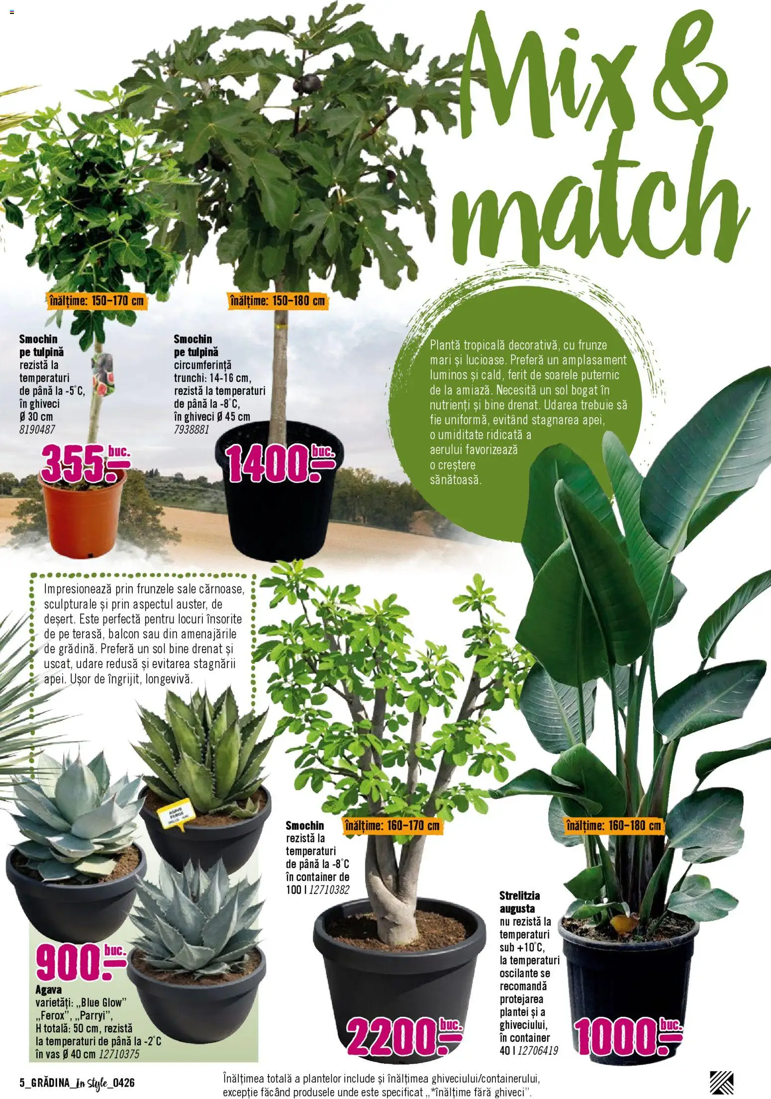 Noul catalog Hornbach – valabil de la 06.04.2026 | Pagină: 5 | Produse: Ghiveci