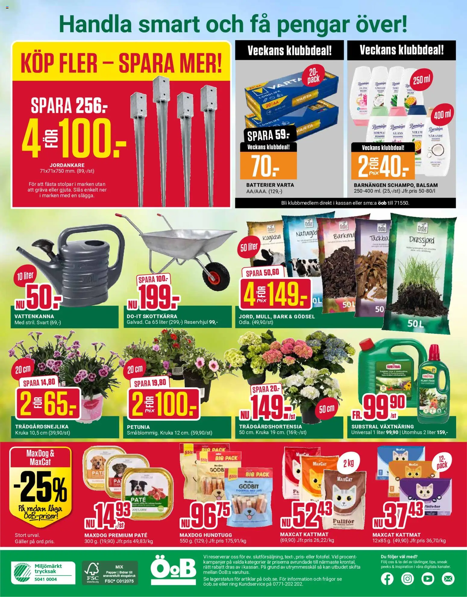 ÖoB reklamblad aktuell från 08.06.2026 | Sida: 12 | Produkter: Batterier, Vattenkanna, Kruka, Ring