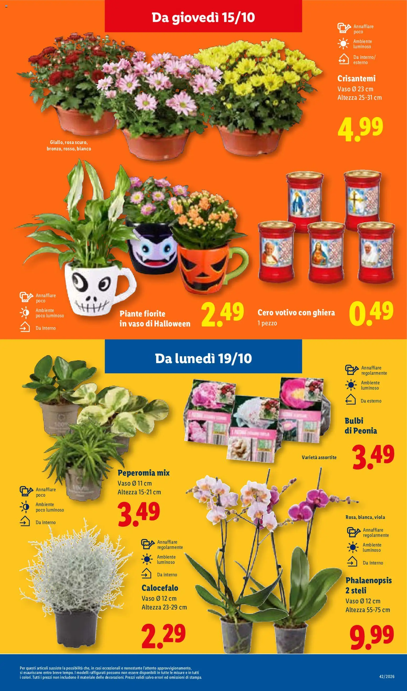 Volantino Lidl del 15/10/2026 | Pagina: 45