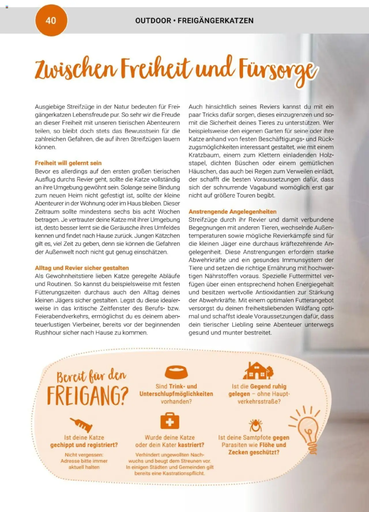 zookauf Themenkatalog Katze – gültig ab 01.10.2025 | Seite: 40