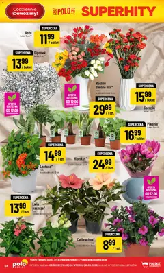 Pogląd oferty "POLOmarket gazetka" - ważna od 10.06.2026 | Strona: 64