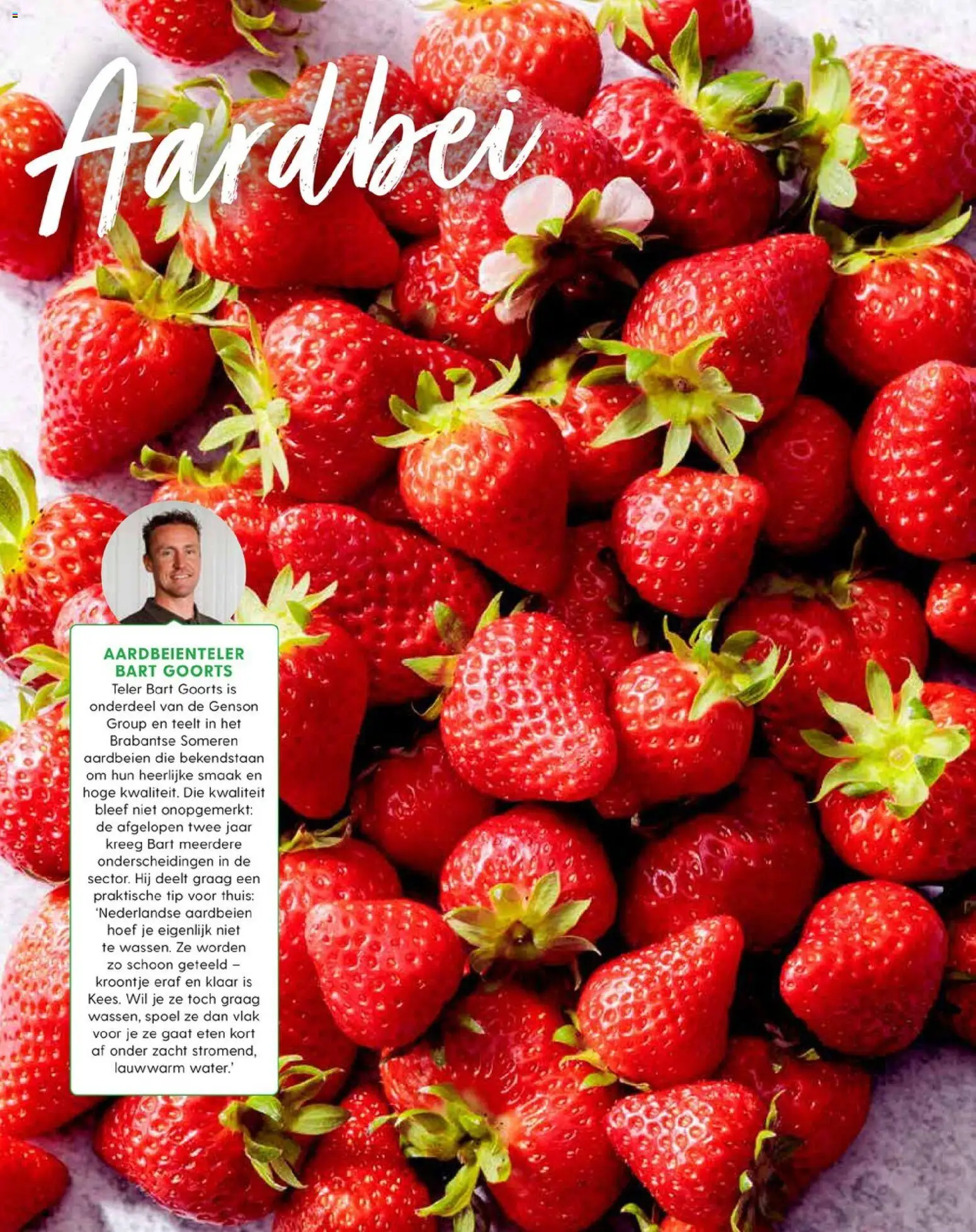 {H1} | Pagina: 74 | Producten: Aardbeien, Aardbei