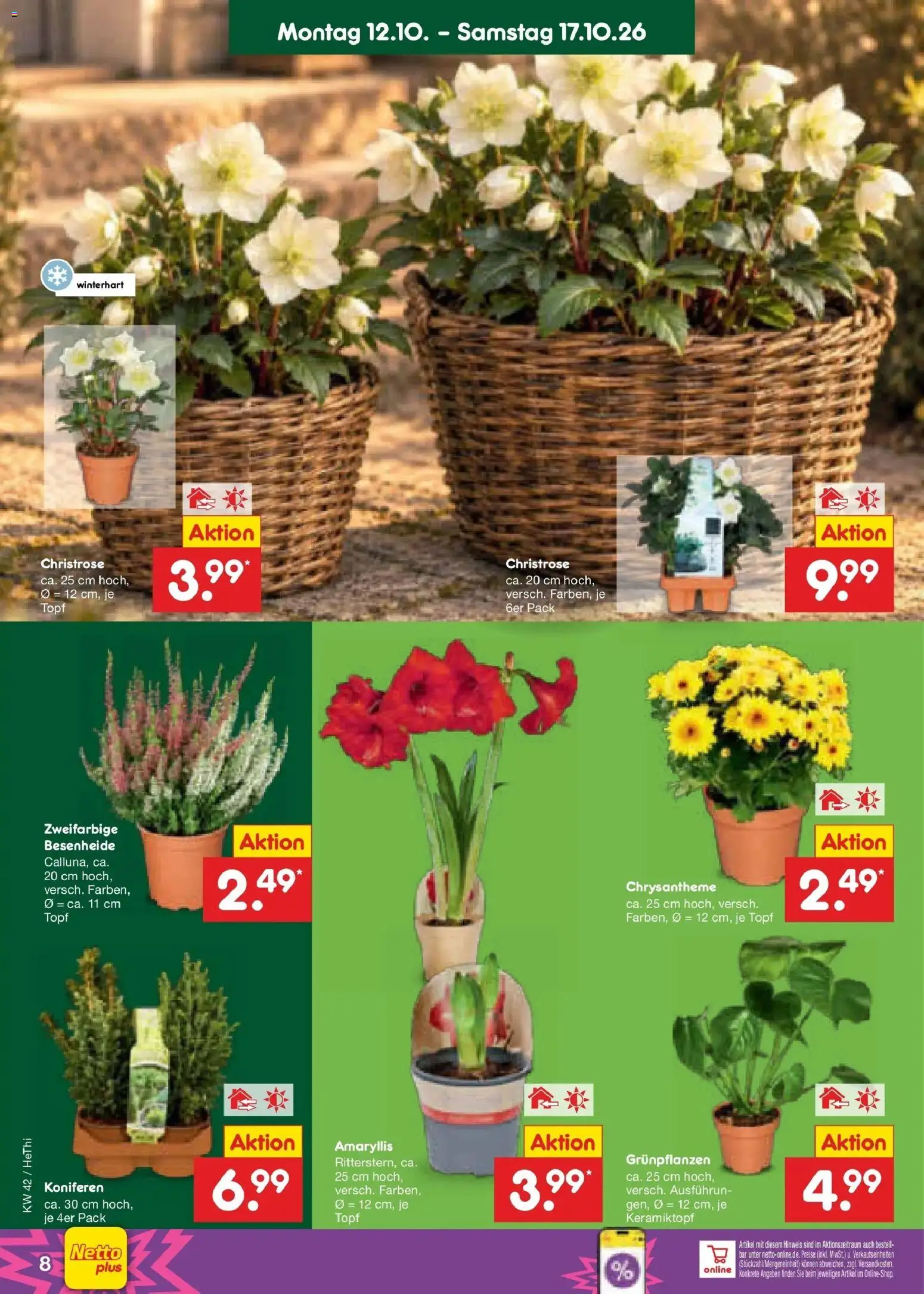 Netto Marken-Discount Prospekt Thiendorf – gültig ab 12.10.2026 | Seite: 10