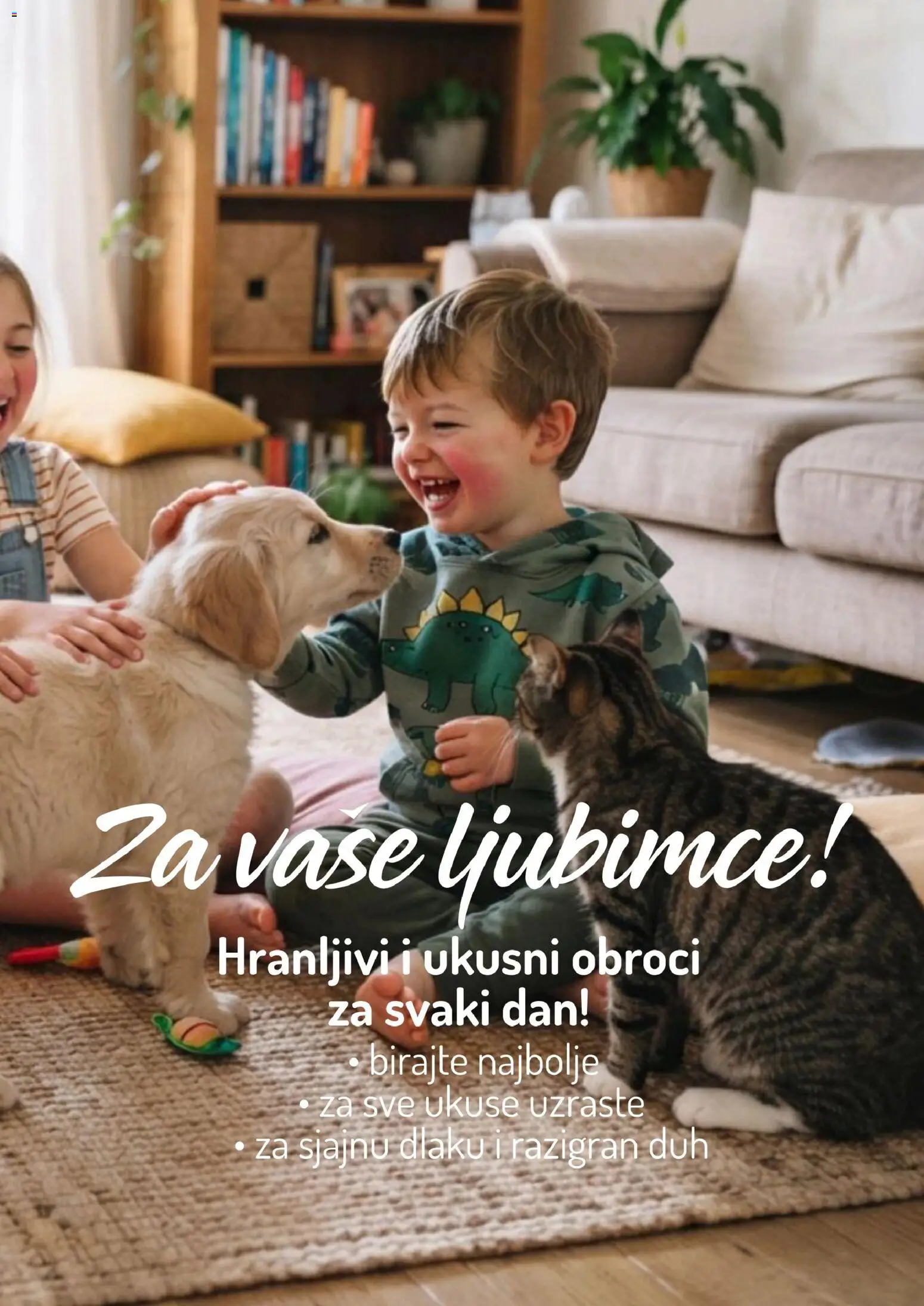 Aman katalog - važi od 26.10.2026 | Strana: 41