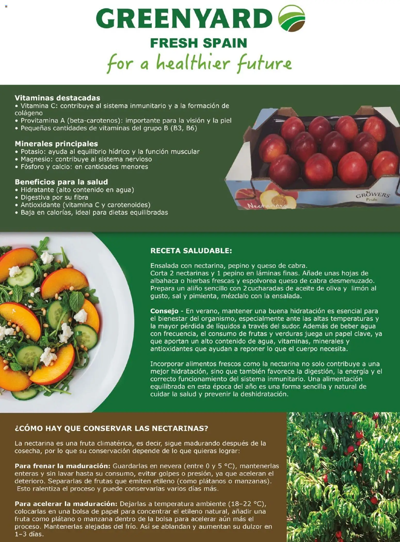 Costco catálogo │ válido desde el 15.06.2026 | Página: 139 | Productos: Aceite, Manzana, Aceite de oliva, Ensalada