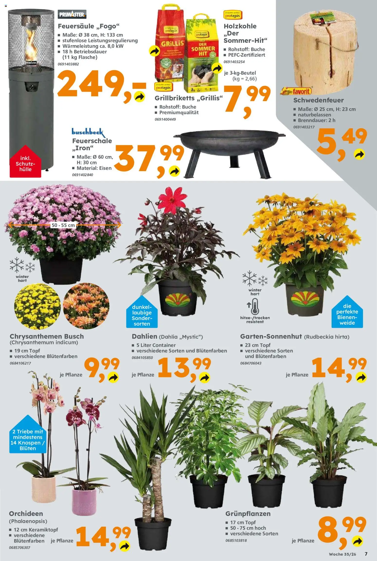 Globus Baumarkt Prospekt Berlin-Treptow – gültig ab 24.08.2026 | Seite: 7 | Produkte: Hülle