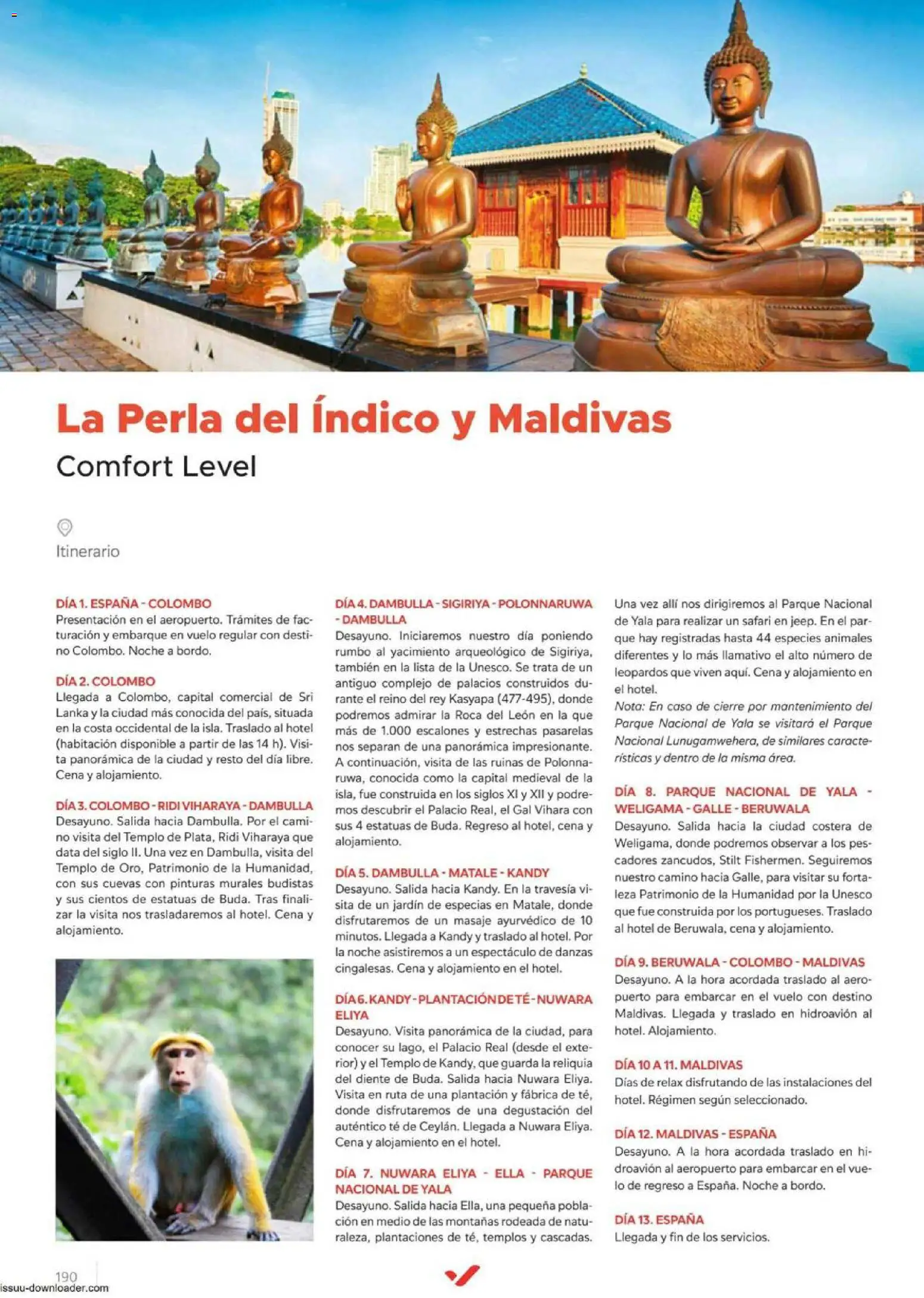 Halcón Viajes Comfort level 2026 │ válido desde el 04.06.2026 | Página: 190 | Productos: Té