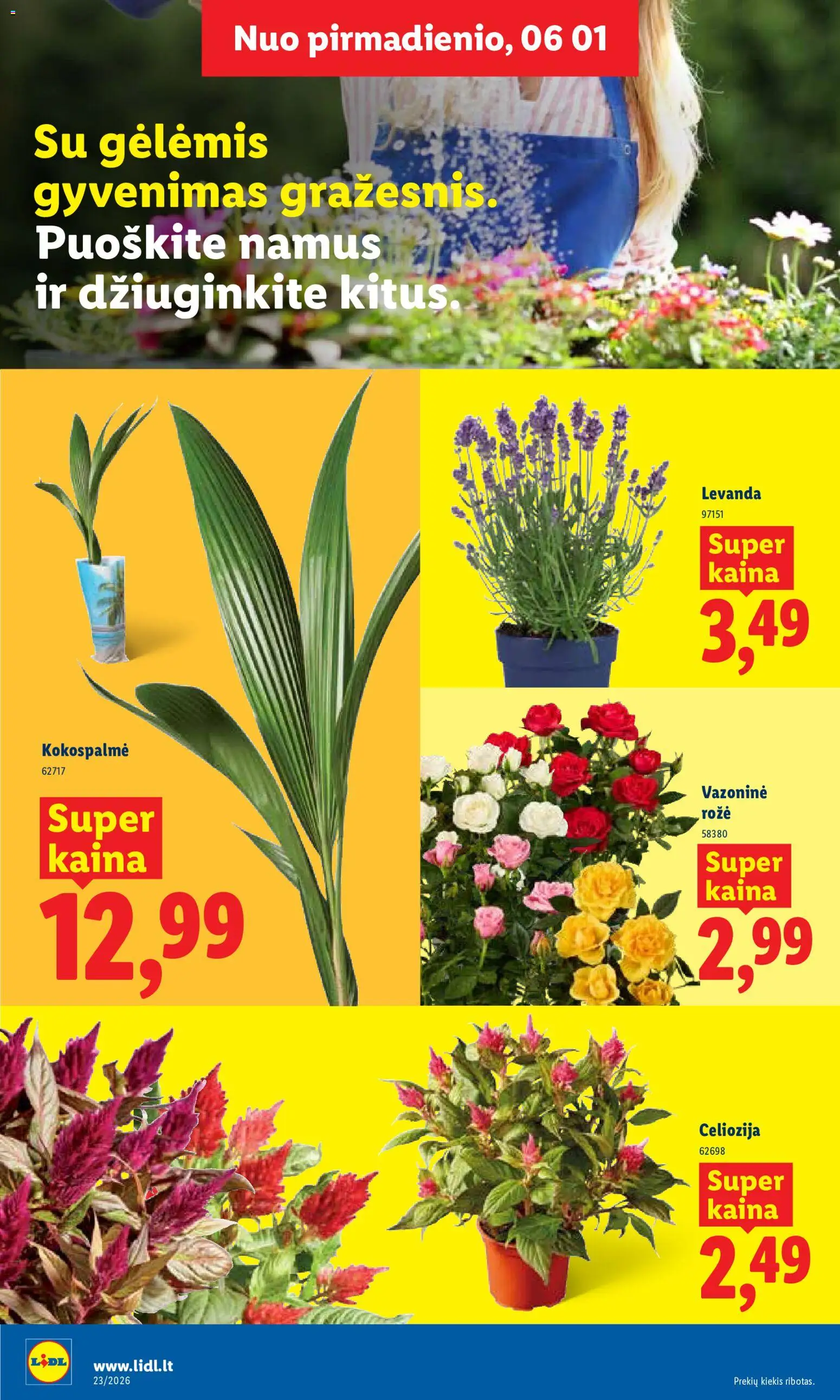 LIDL akcijos nuo 01.06.2026 | Puslapis: 8