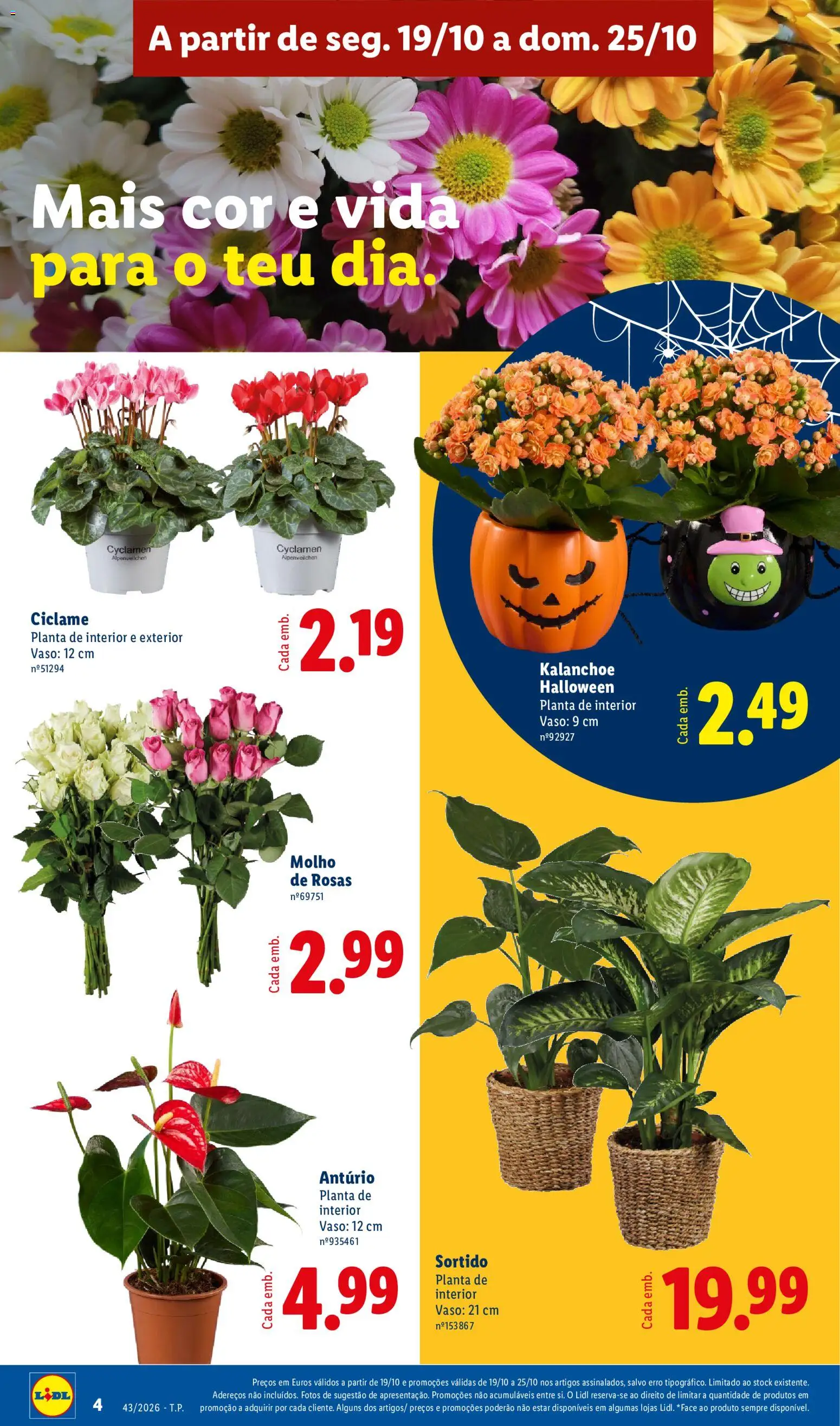 Lidl folheto │ válido de 19/10/2026 | Página: 4