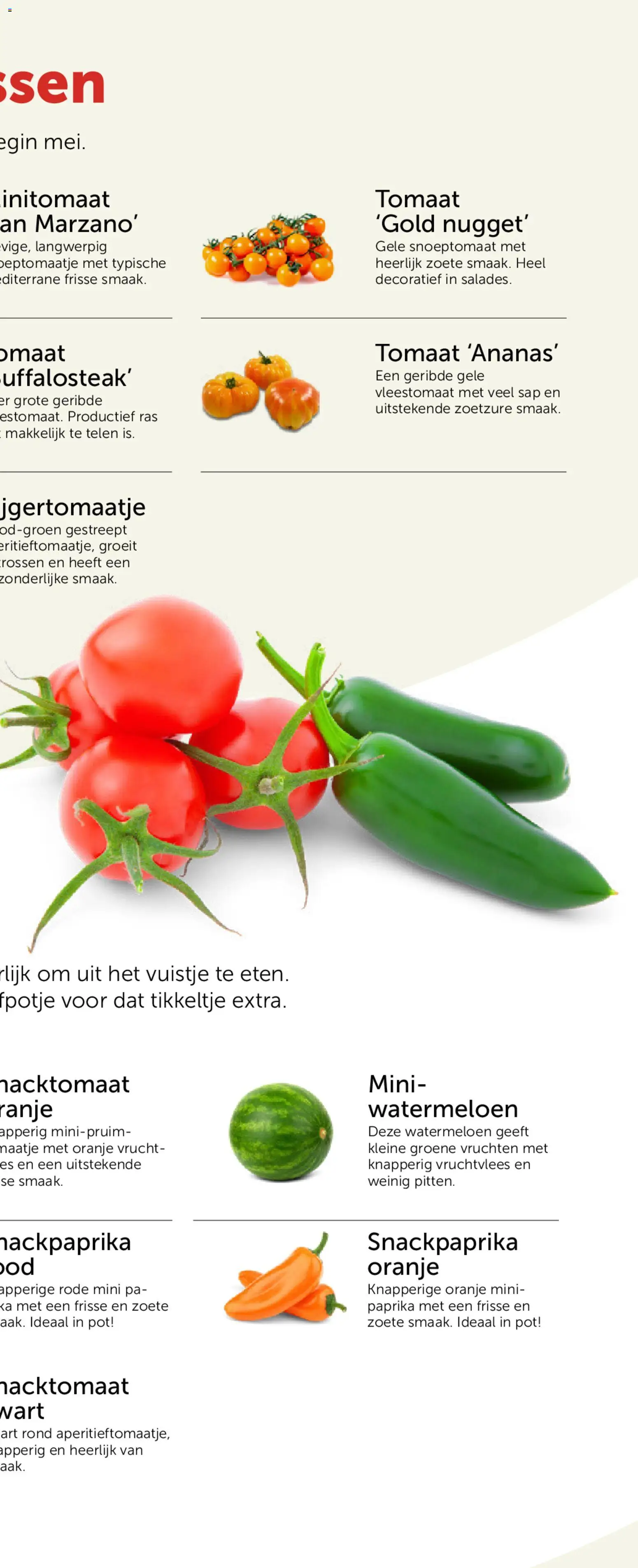 {H1} | Pagina: 59 | Producten: Sap, Watermeloen, Tomaat, Pot