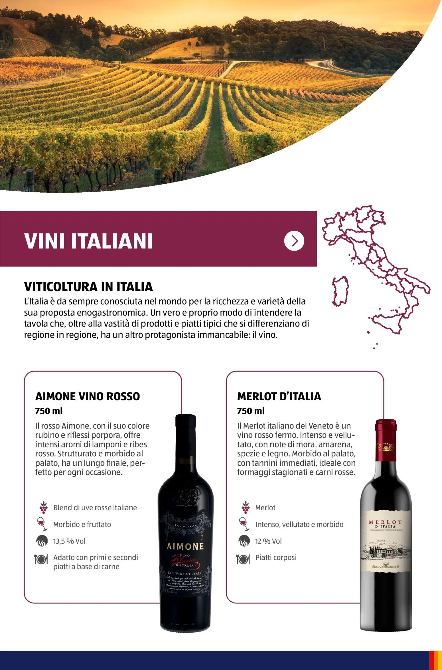 Volantino Aldi del 12/01/2026 | Pagina: 28 | Prodotti: Lamponi, Piatti, Vino, Vino rosso