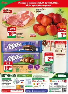 Pogląd oferty "Dino gazetka" - ważna od 30.09.2026 | Strona: 78 | Produkty: Karkówka, Xbox, Oreo, Milka