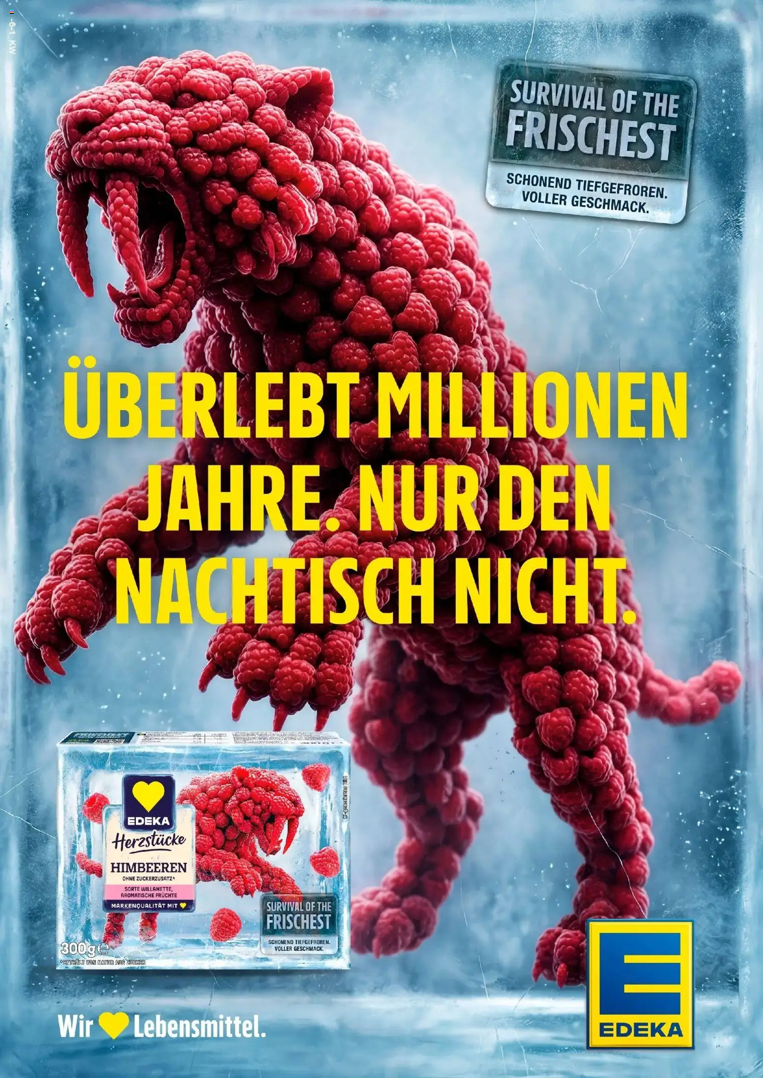 Edeka Prospekt Neu Wulmstorf (ab 26.10.2026) » Angebote Online | Seite: 27 | Produkte: Himbeeren