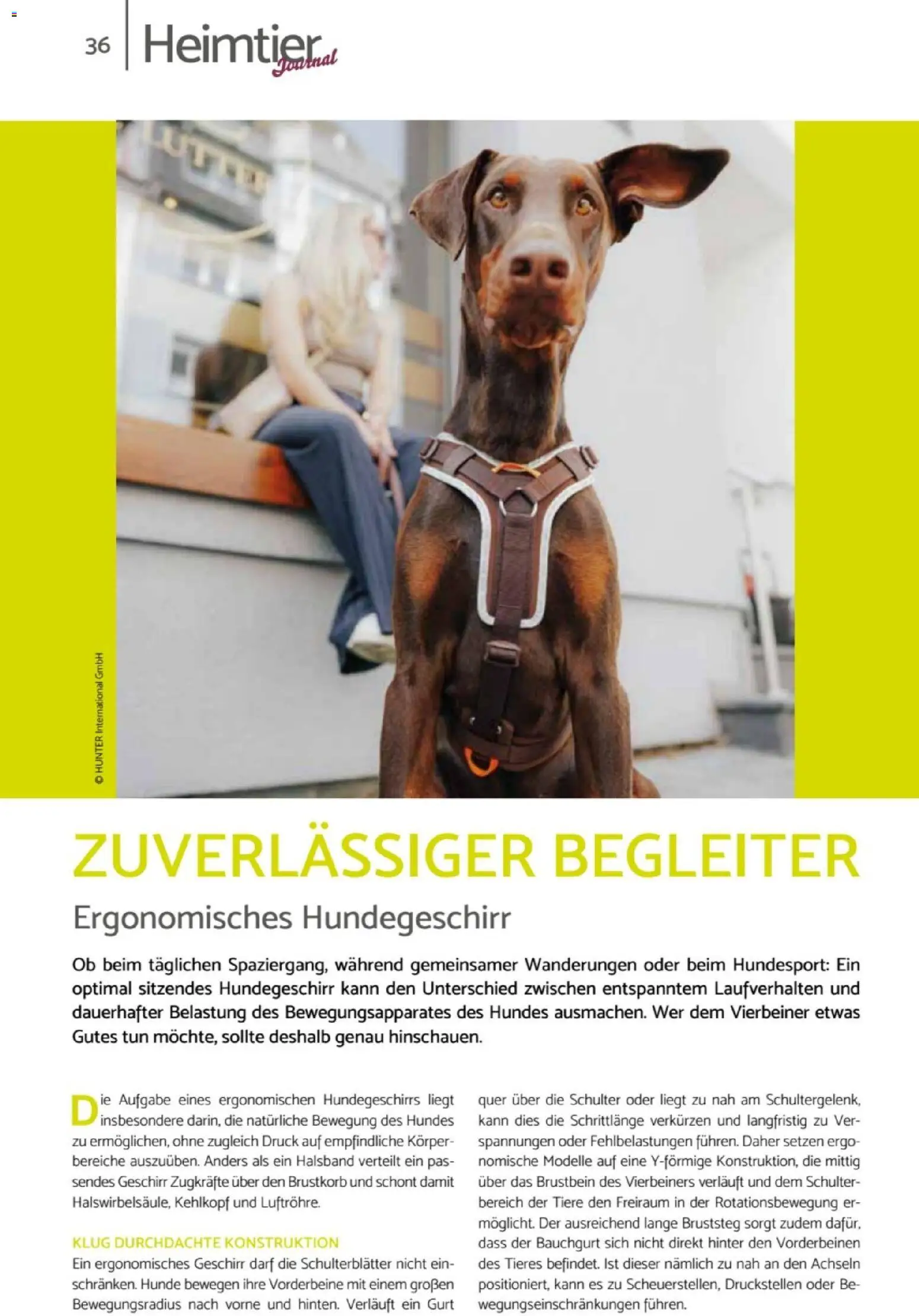 zookauf Heimtier Journal – gültig ab 01.10.2026 | Seite: 36 | Produkte: Schulter