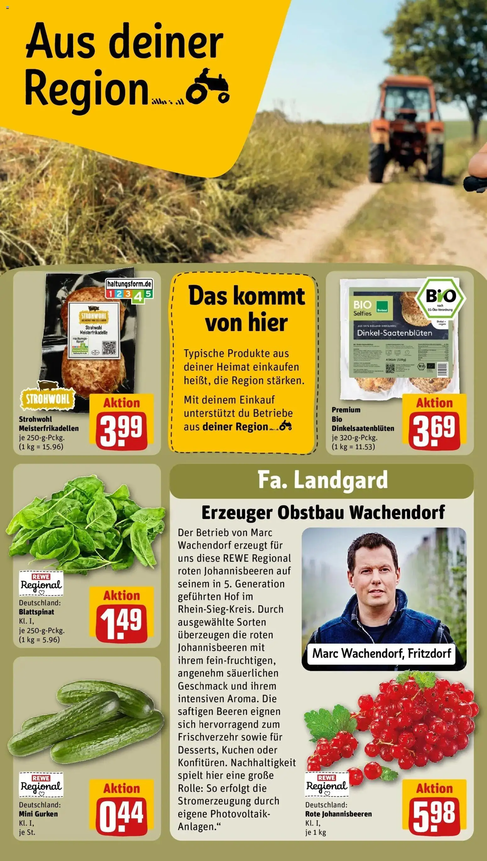 Rewe Prospekt Kürten / Eichhof – gültig ab 27.07.2026 | Seite: 26 | Produkte: Kuchen, Gurken