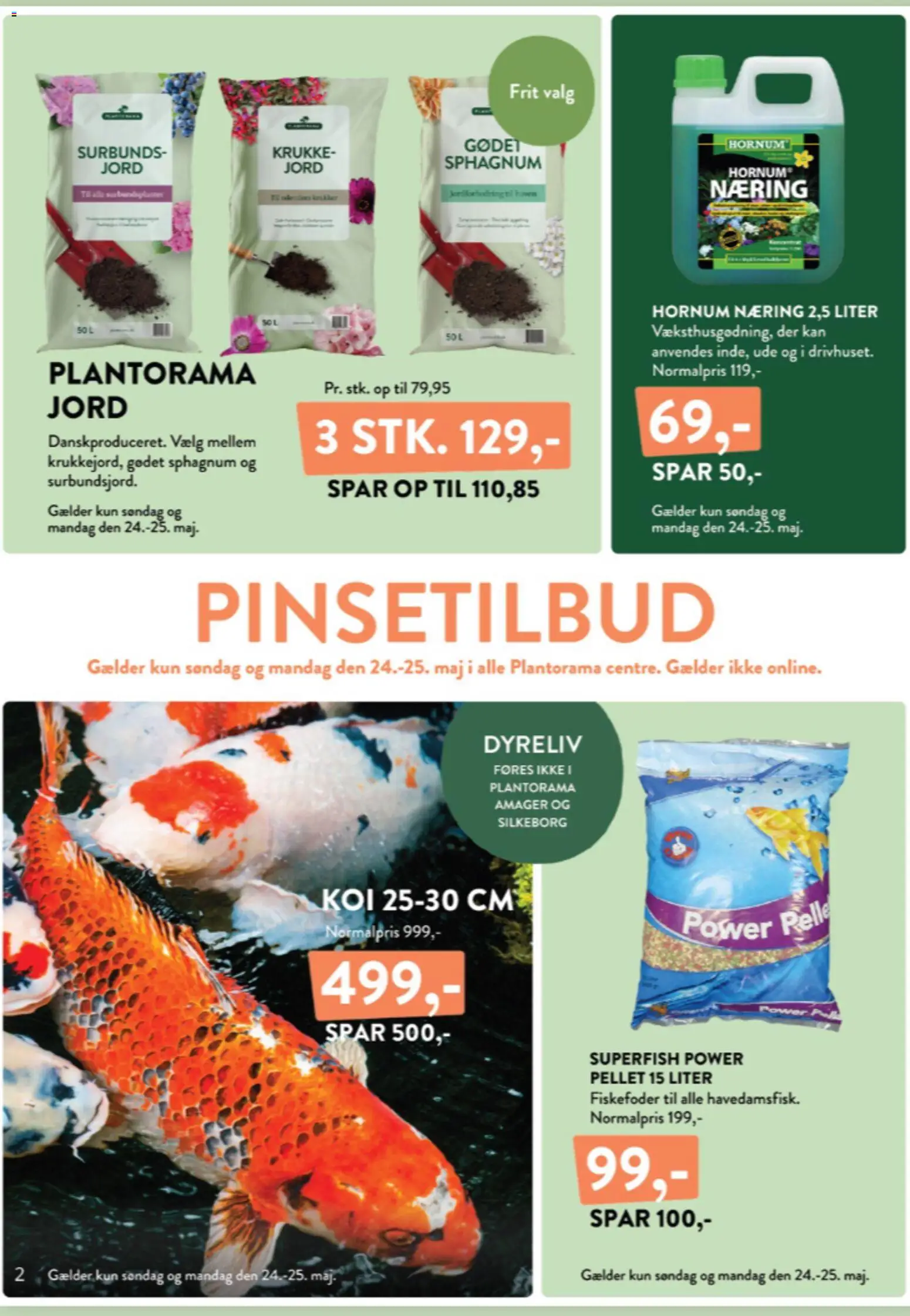 Plantorama tilbudsavis – gyldig fra 22.05.2026 | Side: 2 | Produkter: Krukke