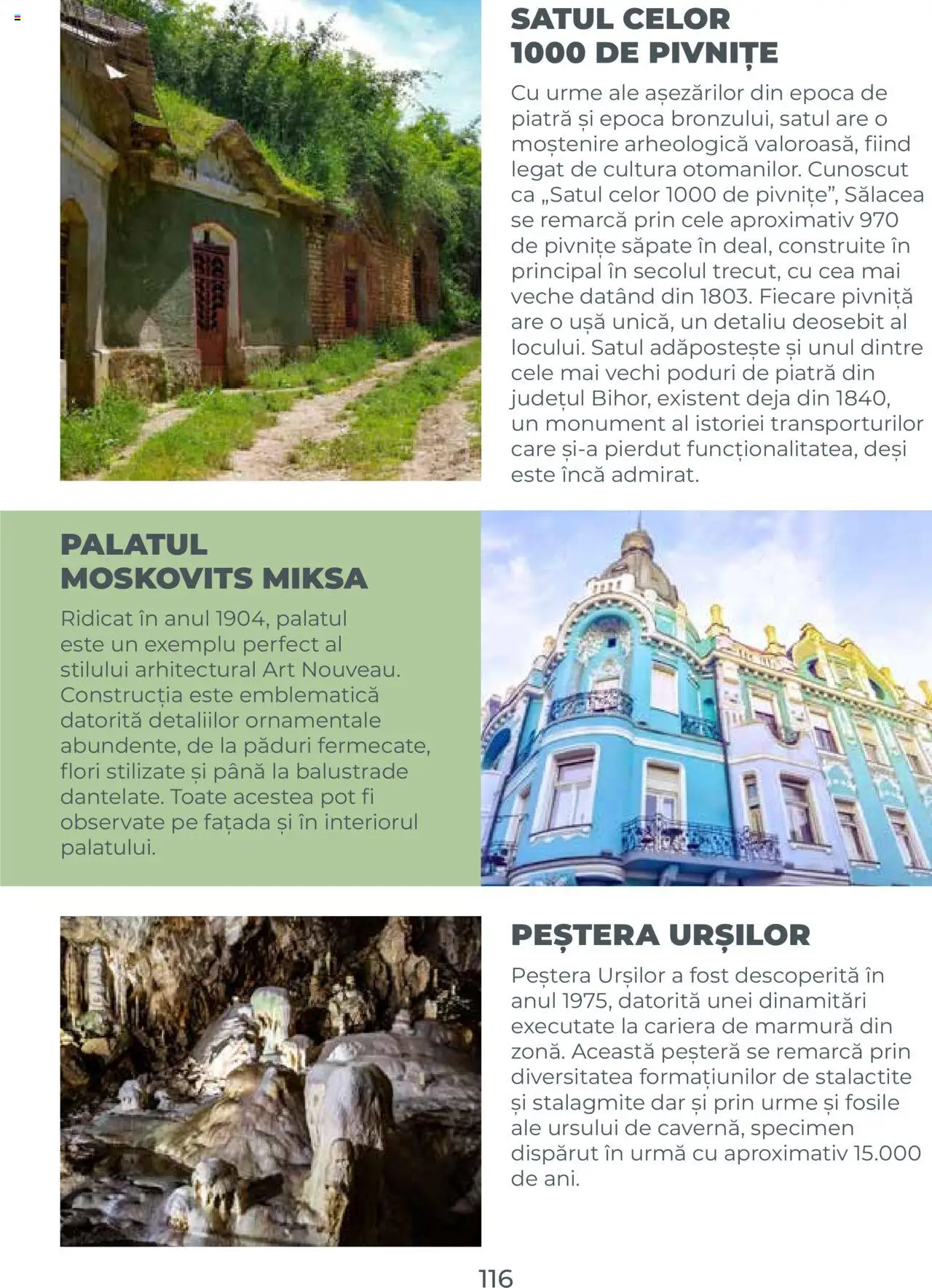 Noul catalog Metro – valabil de la 01.08.2025 | Pagină: 116 | Produse: Ușă