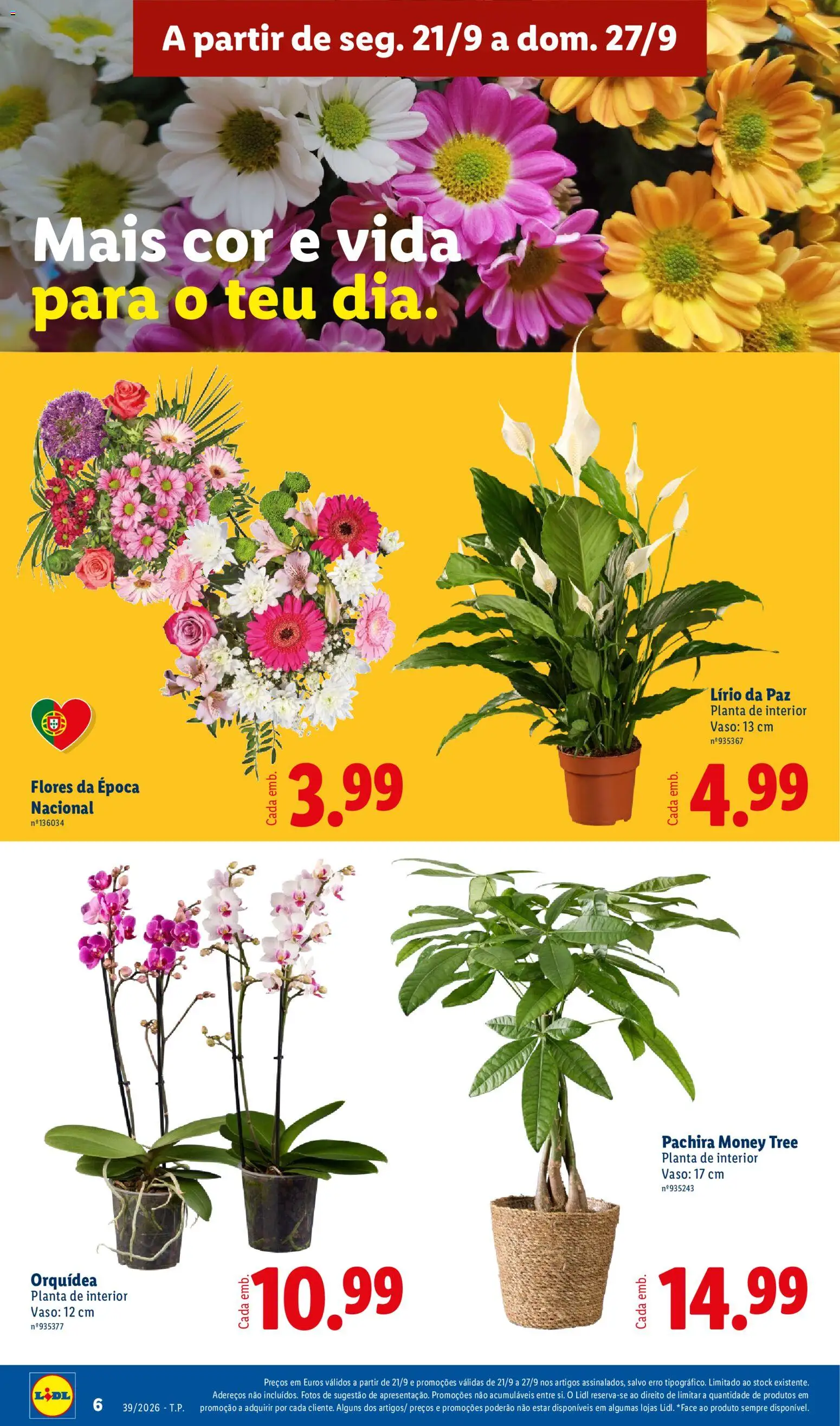 Lidl folheto │ válido de 21/09/2026 | Página: 8