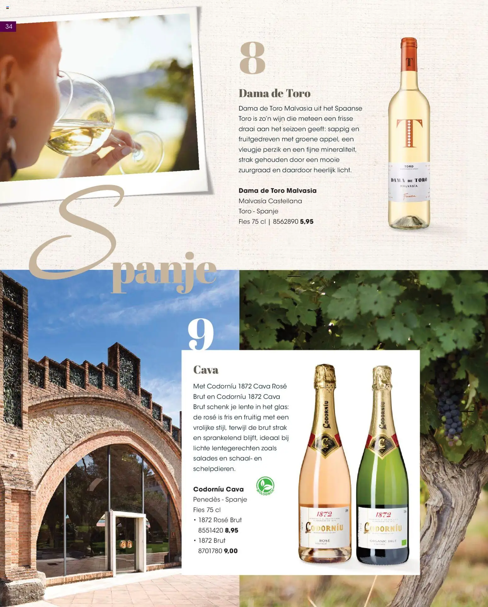 {H1} | Pagina: 34 | Producten: Wijn, Schaal, Fles, Salades
