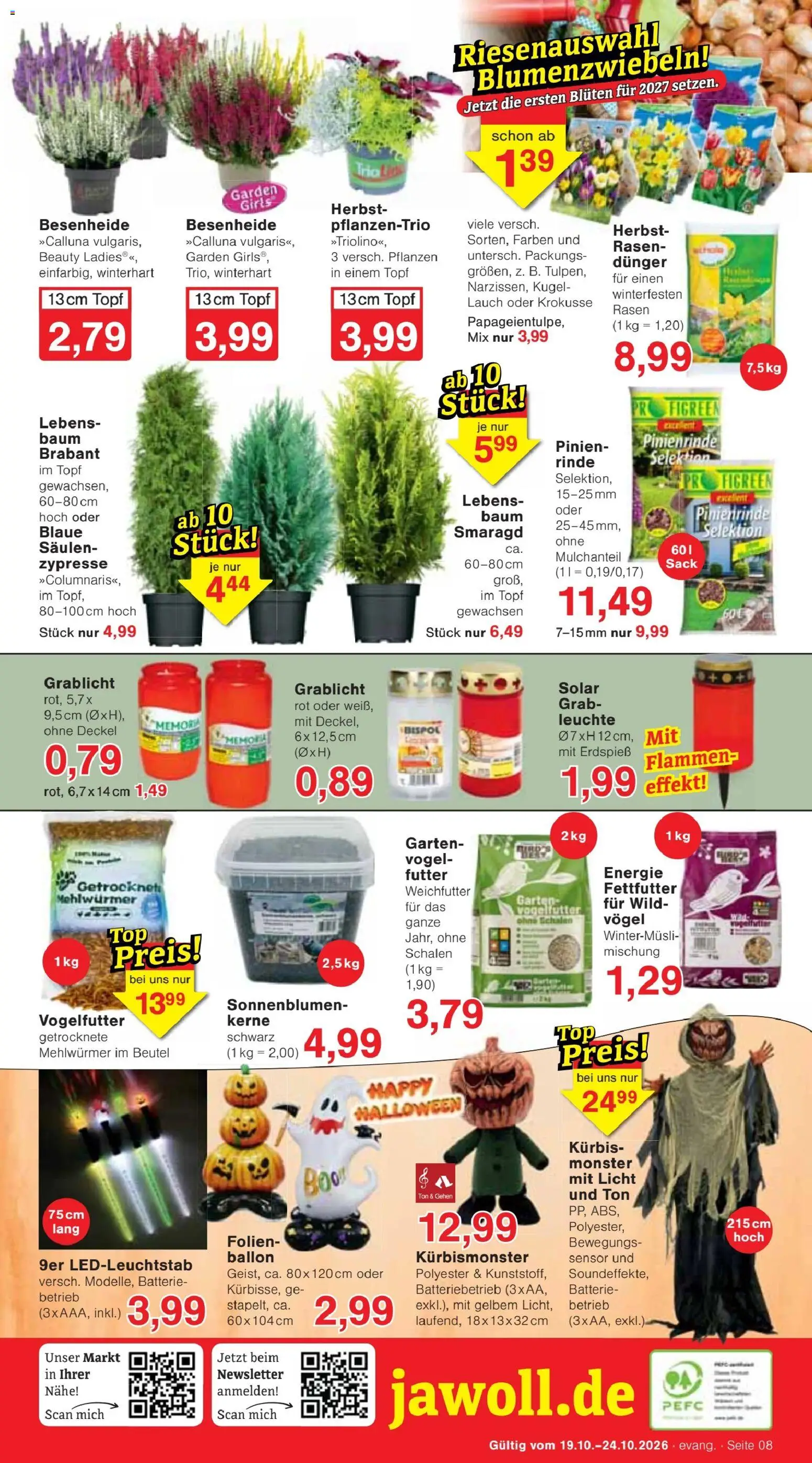 Jawoll Prospekt – gültig ab 19.10.2026 | Seite: 12 | Produkte: Batterie, Monster, Kürbis, Lauch