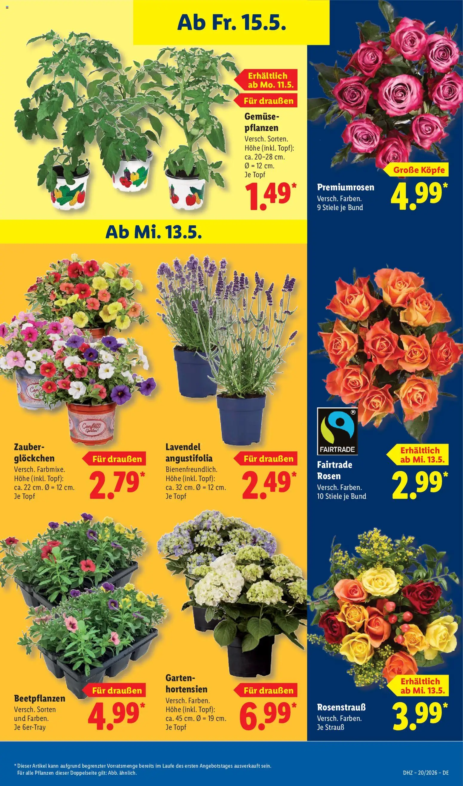 Lidl Prospekt – gültig ab 11.05.2026 | Seite: 71