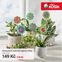Náhled letáku Velký Košík leták od 01.05.2026 | Strana: 3 | Produkty: Košík