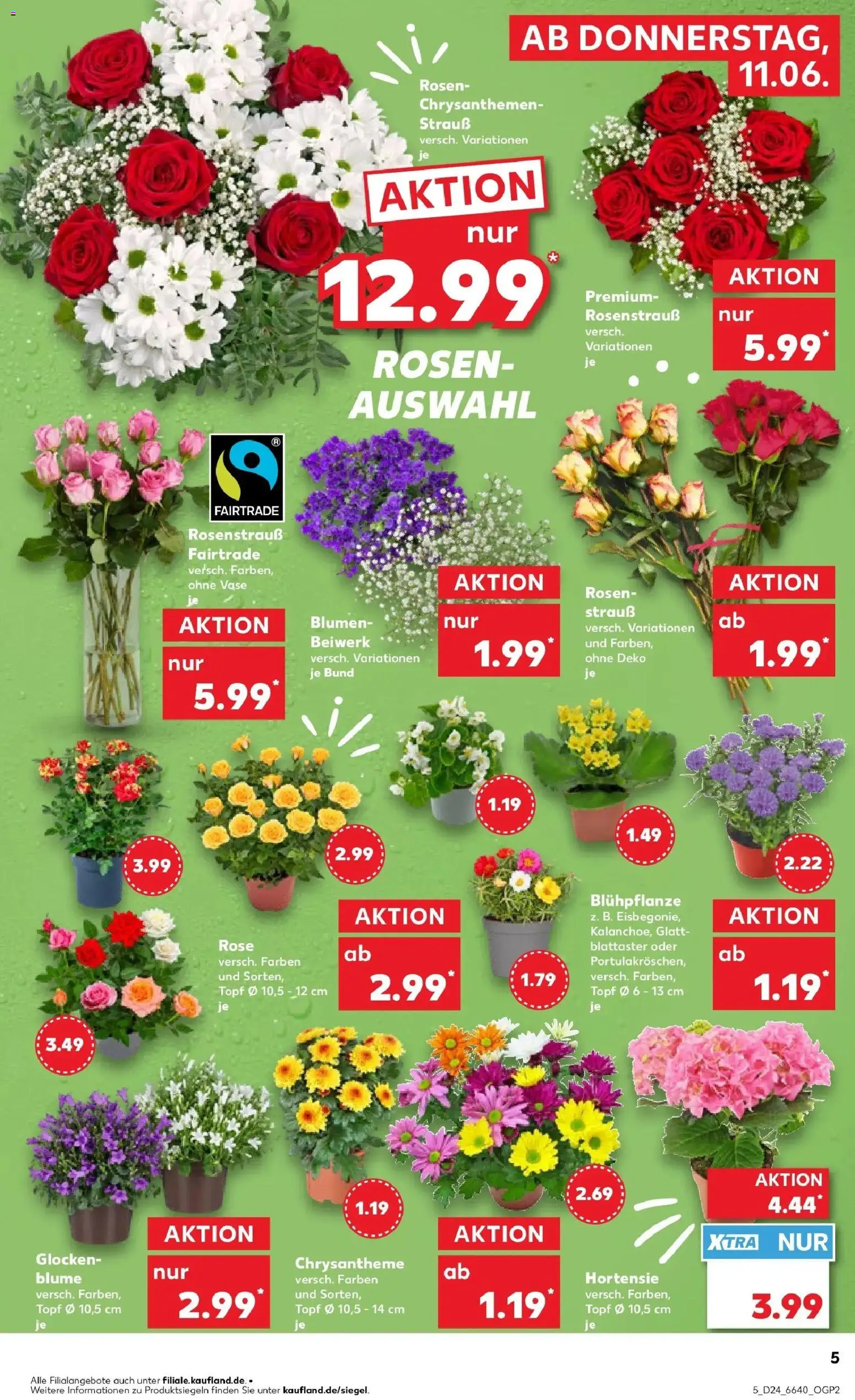 Kaufland Prospekt Zimmern Ob Rottweil – gültig ab 11.06.2026 | Seite: 5 | Produkte: Hortensie, Blumen, Vase