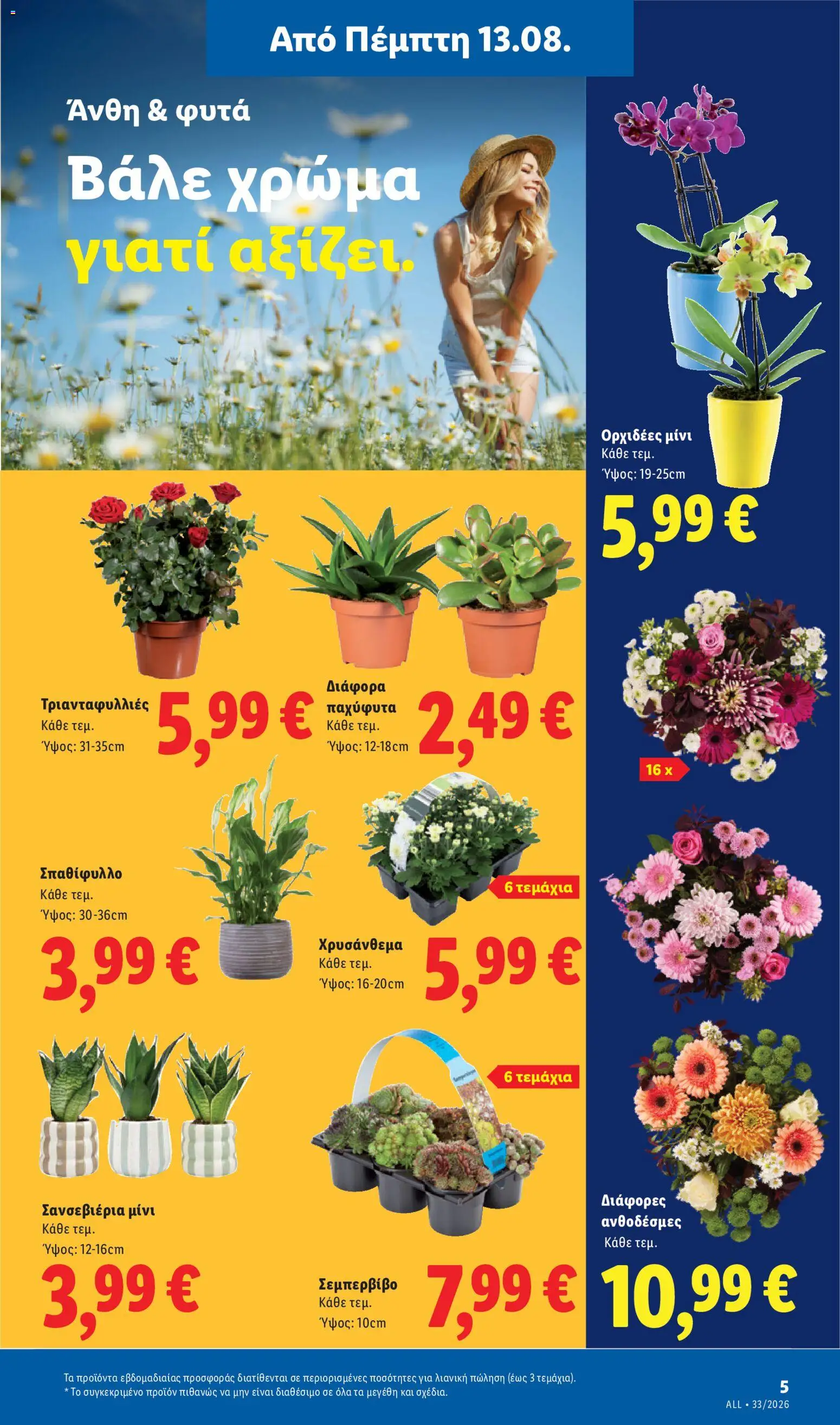 Lidl Φυλλάδιο - σε ισχύ από 13/08/2026 | Σελίδα: 39