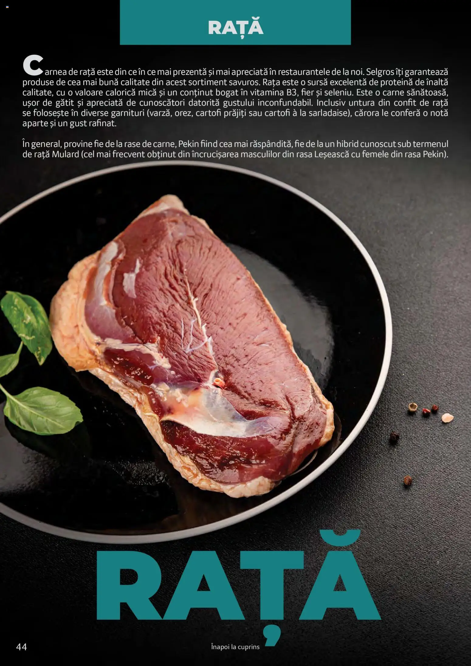 Noul catalog Selgros – valabil de la 25.03.2026 | Pagină: 44 | Produse: Rață, Cartofi