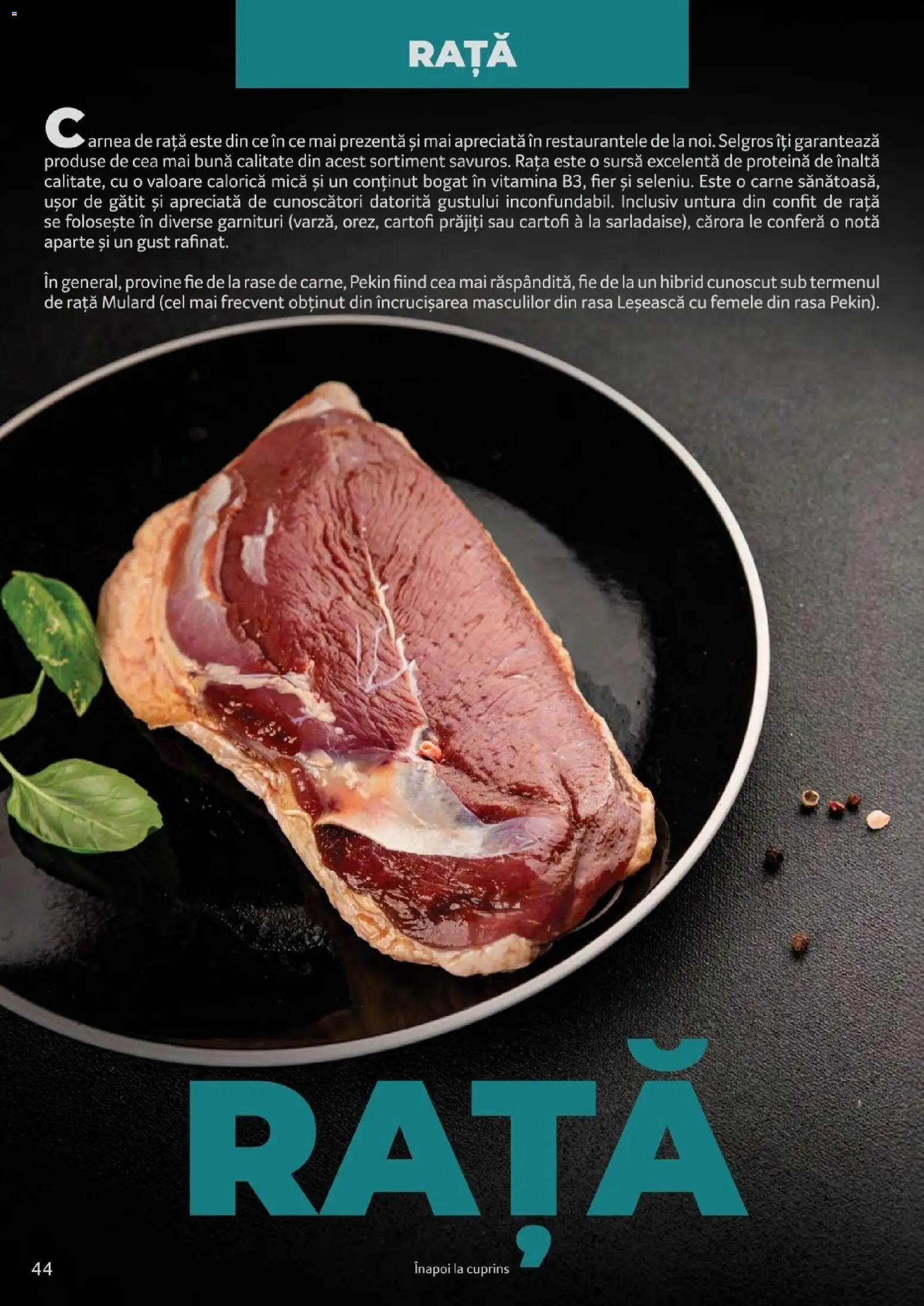 Noul catalog Selgros – valabil de la 25.03.2026 | Pagină: 44 | Produse: Fier, Rață, Cartofi
