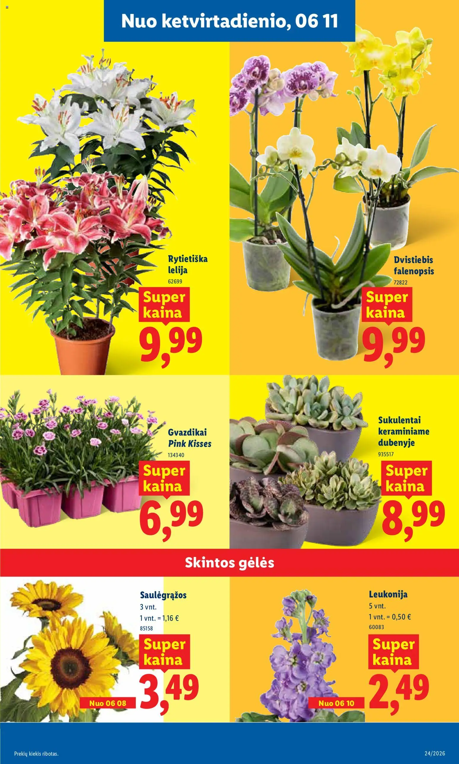 LIDL akcijos nuo 08.06.2026 | Puslapis: 9 | Prekių: Saulėgrąžos
