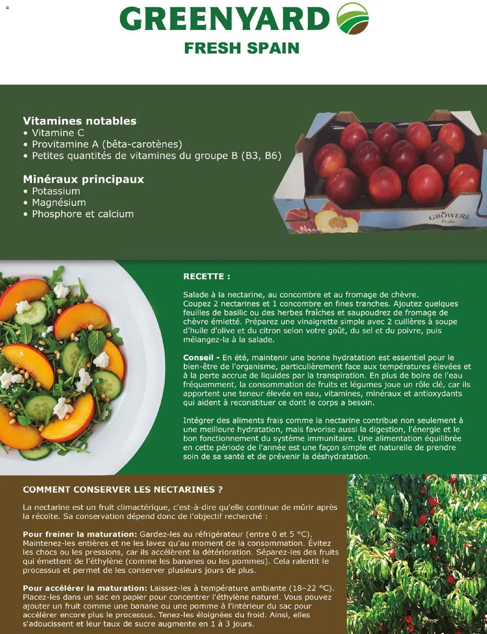 {H1} | Page: 109 | Produits: Nectarine, Sel, Banane, Bananes