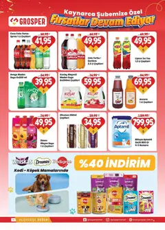 17.06.2026 tarihinden itibaren geçerli olan Grosper kataloğu önizlemesi | Sayfa: 11 | Ürünler: Portakal, Vişne, Meyve, Sprite