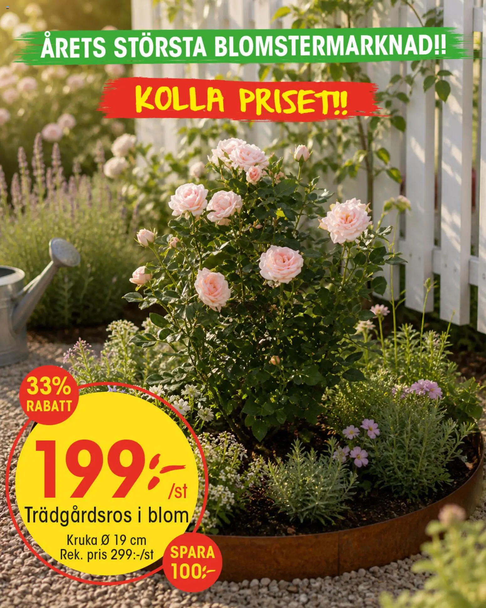 EKO reklamblad aktuell från 11.05.2026 | Sida: 8 | Produkter: Kruka