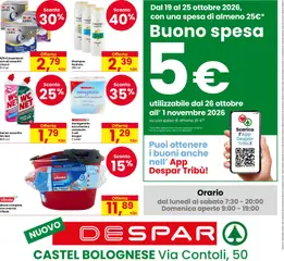 Anteprima del volantino Despar volantino Castel Bolognese valido a partire dal 16/10/2026 | Pagina: 8 | Prodotti: Candeggina, Mocio, Assorbenti, Asciugatutto