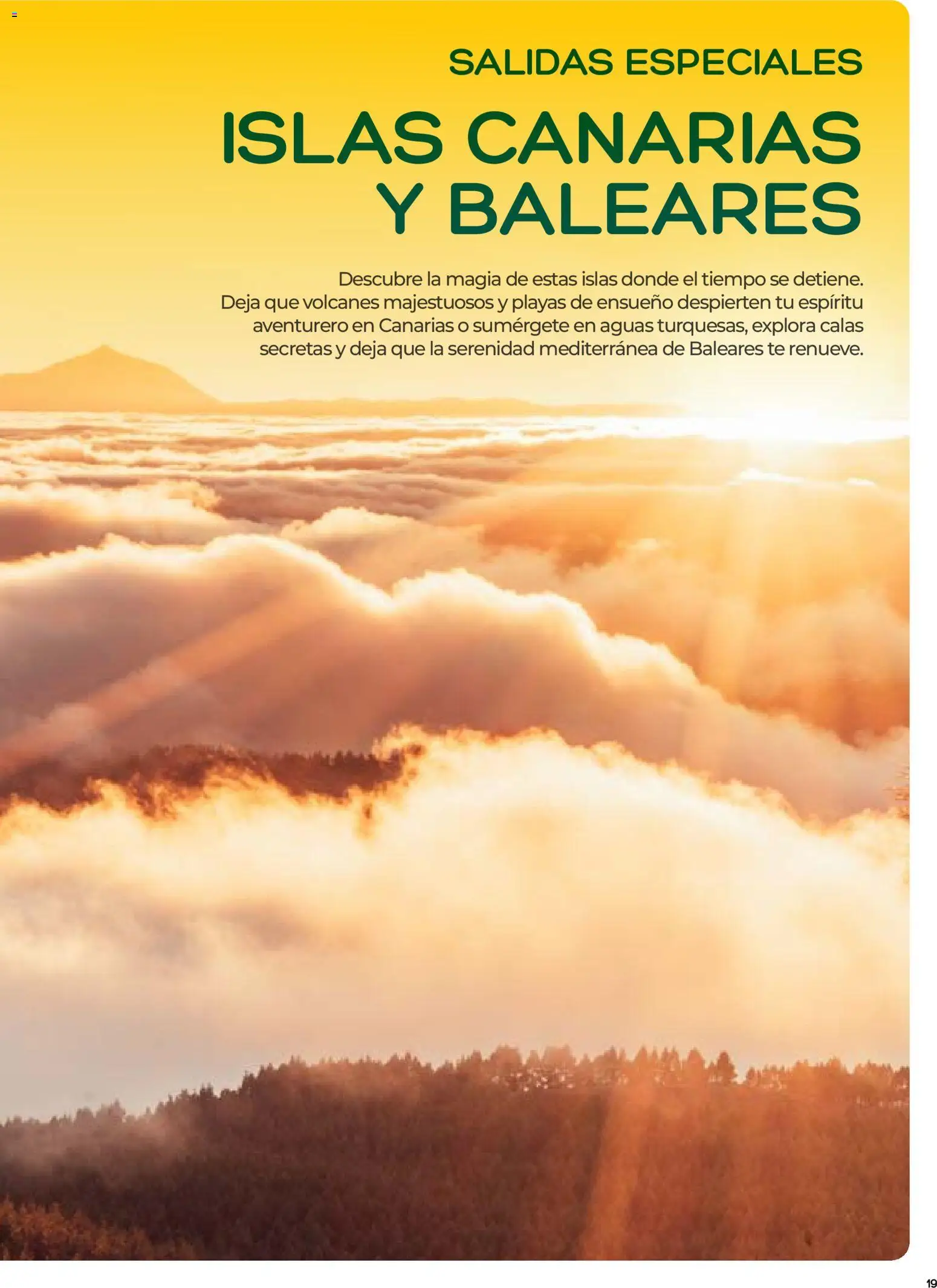 Viajes El Corte Inglés folleto Destinos Otoño y Primavera │ válido desde el 01/07/2026 | Página: 19 | Productos: Té