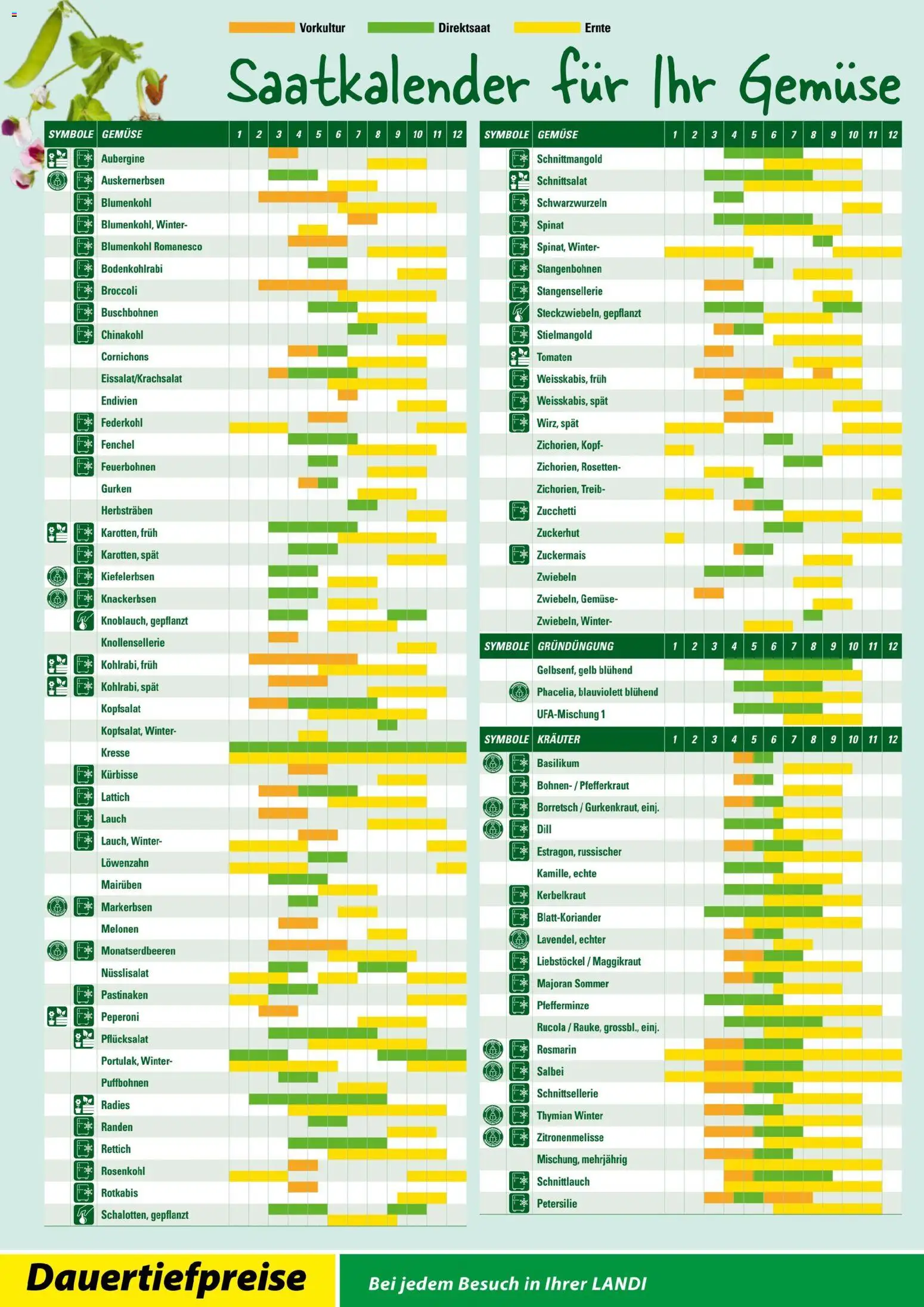 Landi ( Deaktivovane pre Letakomat )  Aktionen – gültig ab 07.01.2026 | Seite: 20 | Produkte: Tomaten, Gemüse, Gurken, Petersilie