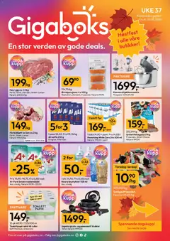 Forhåndsvisning av Gigaboks kundeavis gyldig fra 07/09/2026