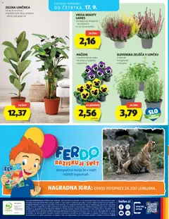 Hofer katalog akcije – veljaven od 09.09.2026 | Stran: 28 | Izdelki: Igra, Revija, Kos, Zelena