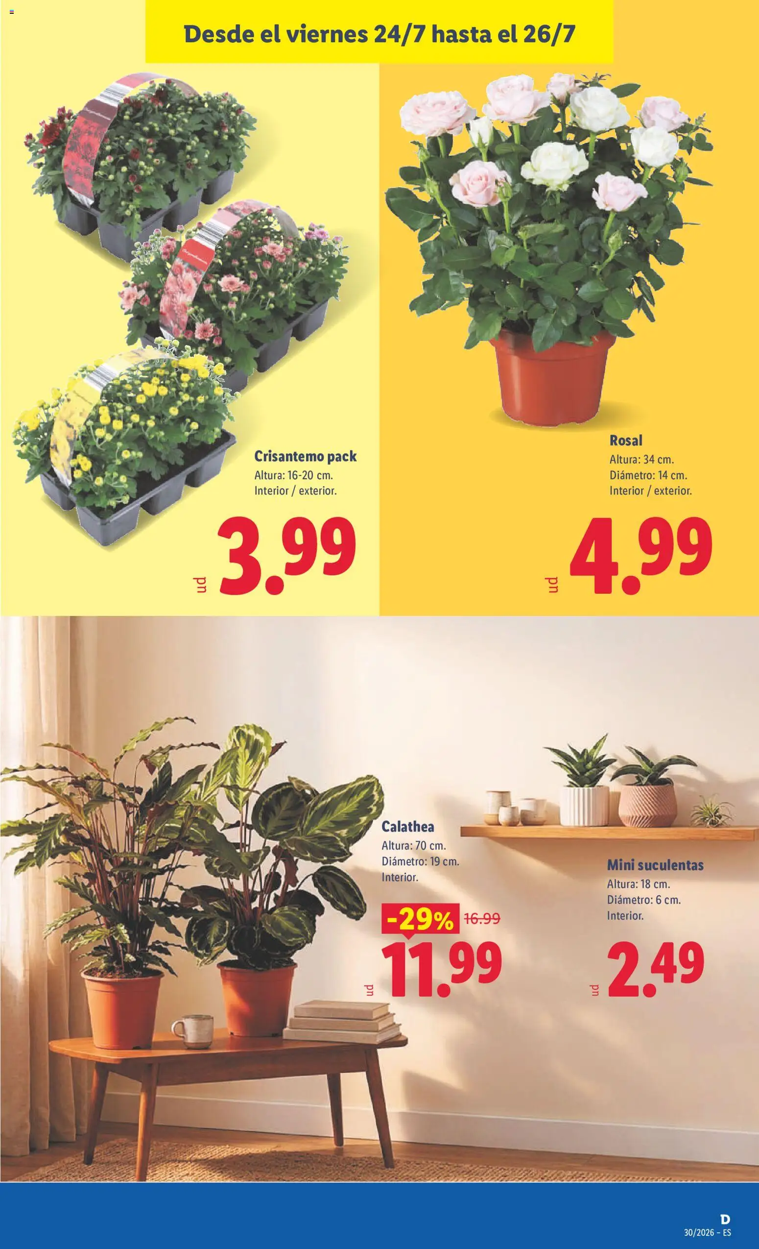 Lidl folleto │ válido desde el 20/07/2026 | Página: 49