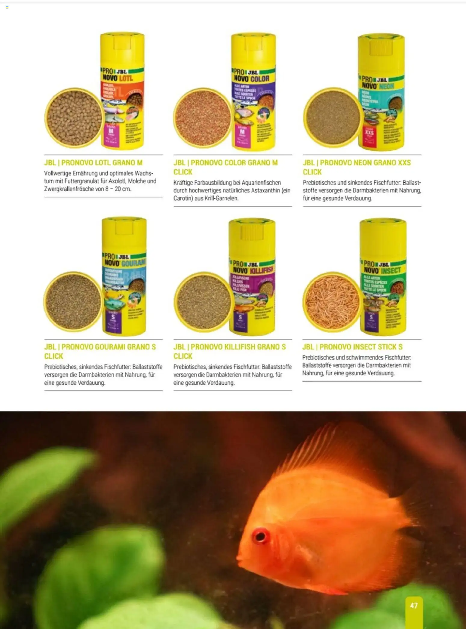 zookauf Themenkatalog Aqua – gültig ab 01.10.2026 | Seite: 47