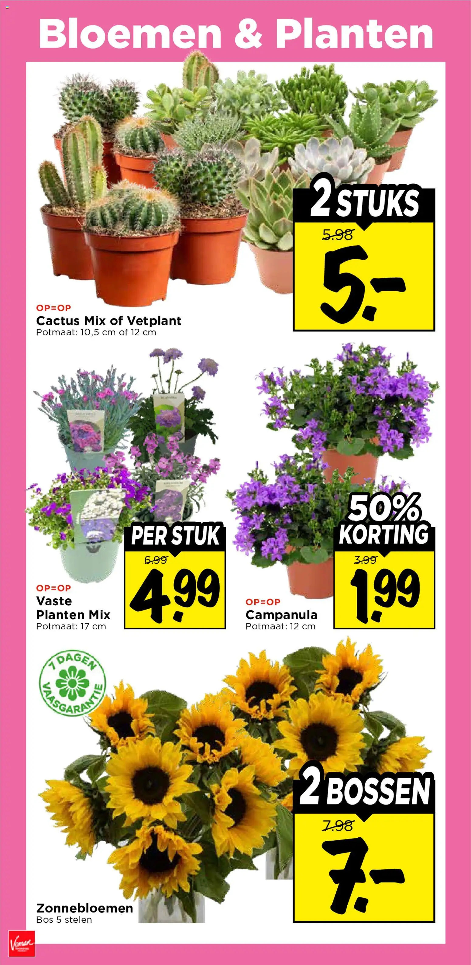 {H1} | Pagina: 38 | Producten: Bloemen