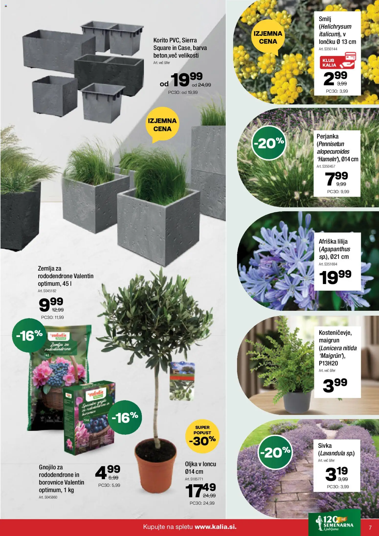 Novi Kalia katalog ponudbe – veljaven od 23.03.2026 | Stran: 7 | Izdelki: Žemlja, Borovnice, Barva