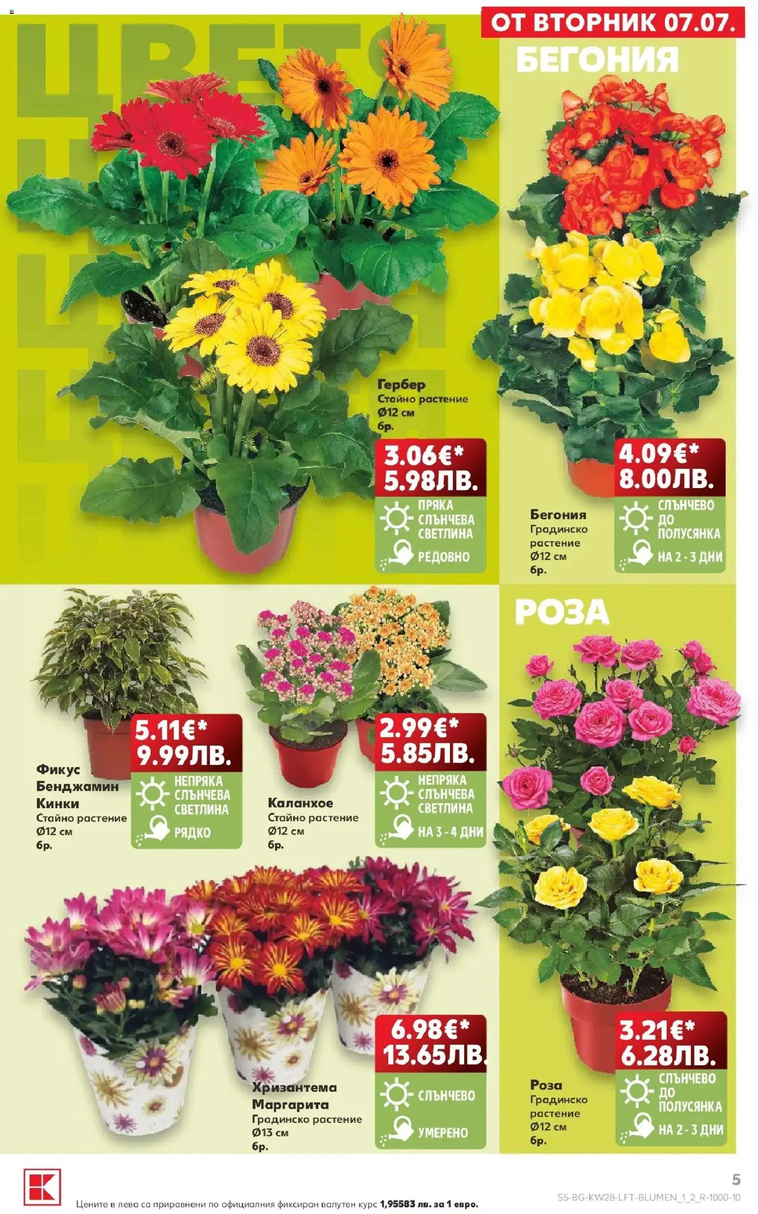 {H1} | Страница: 5 | Продукти: Хризантема, Роза