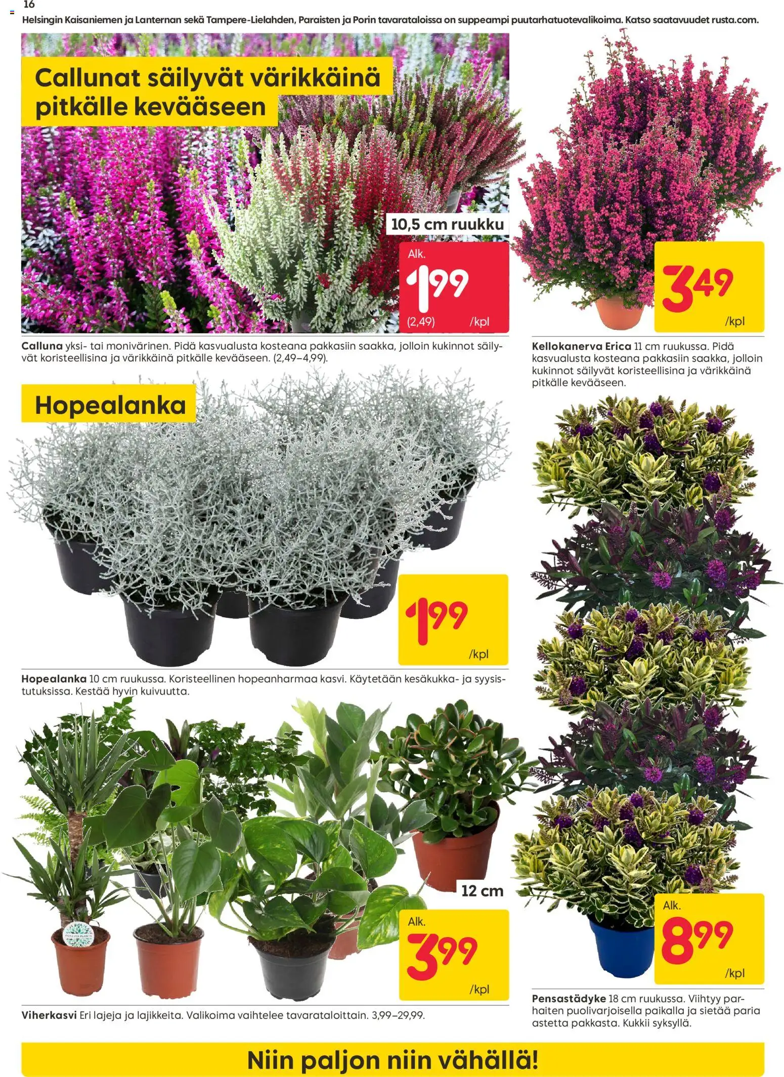 Rusta tarjoukset – voimassa 17/08/2026 alkaen | Sivu: 16